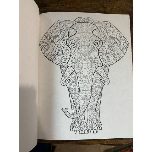 Living Wonders Color Art for Everyone by Leisure Arts, 24 pages , Mental Health - Picture 5 of 8